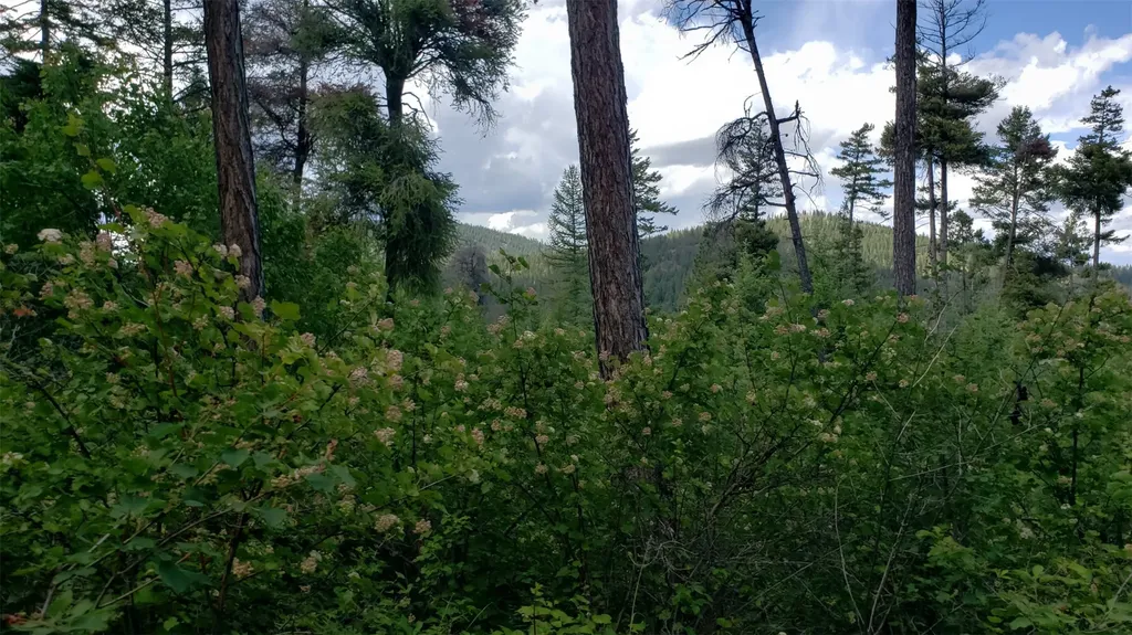Lot 21 Arlee Pines Arlee MT 59821