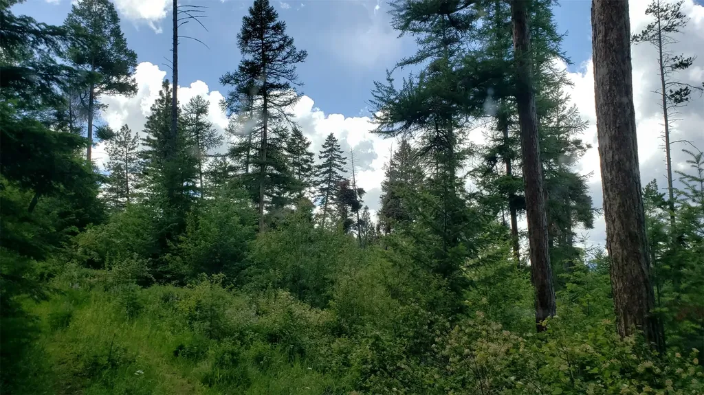 Lot 21 Arlee Pines Arlee MT 59821