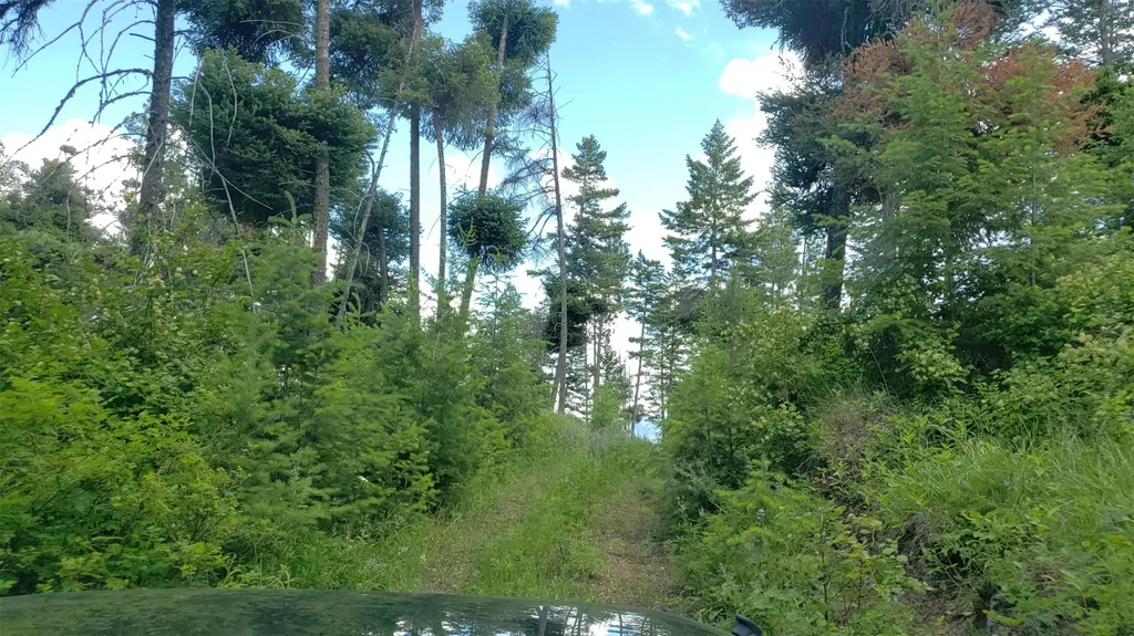 Lot 21 Arlee Pines Arlee MT 59821