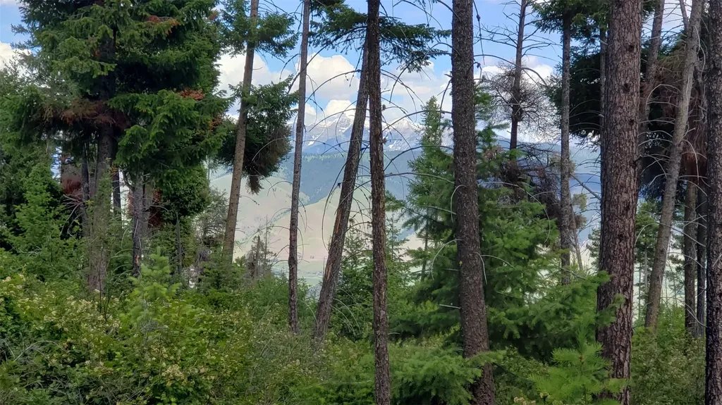 Lot 21 Arlee Pines Arlee MT 59821