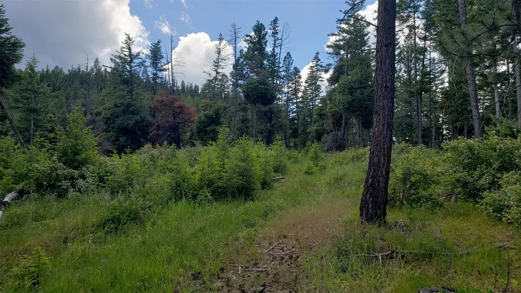 Lot 21 Arlee Pines Arlee MT 59821