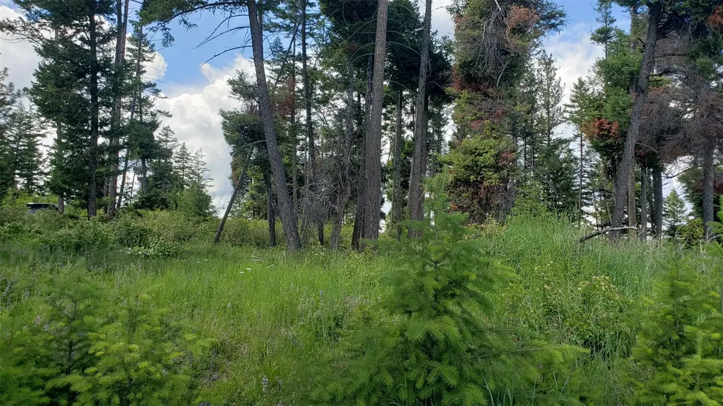 Lot 21 Arlee Pines Arlee MT 59821
