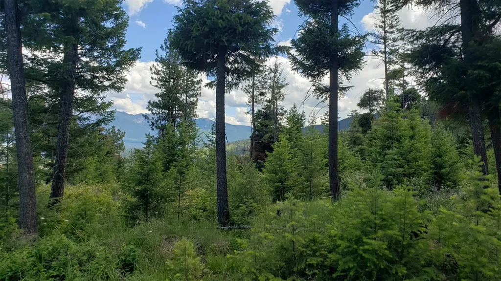Lot 21 Arlee Pines Arlee MT 59821