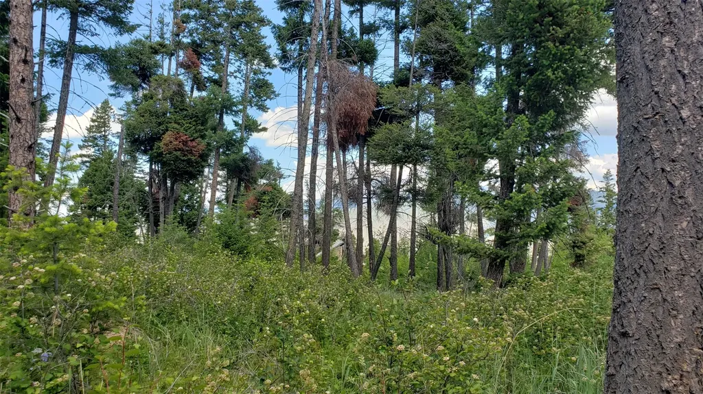 Lot 21 Arlee Pines Arlee MT 59821