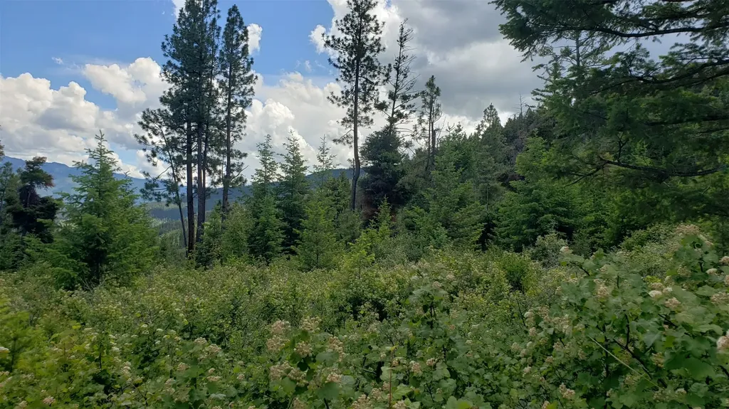 Lot 21 Arlee Pines Arlee MT 59821