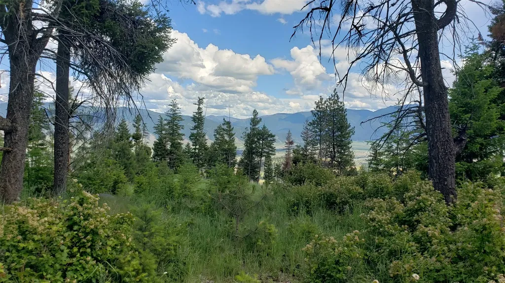 Lot 21 Arlee Pines Arlee MT 59821