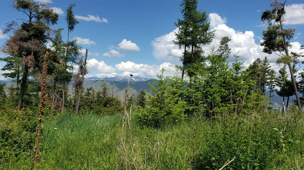 Lot 21 Arlee Pines Arlee MT 59821