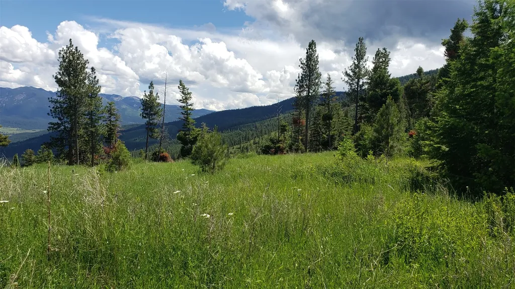 Lot 21 Arlee Pines Arlee MT 59821