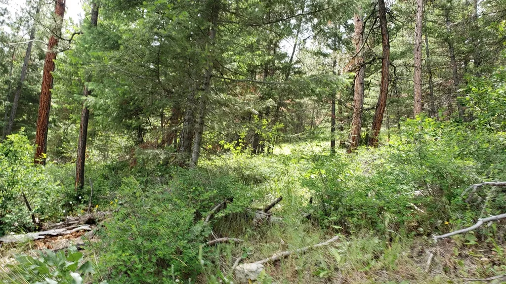 Lot 21 Arlee Pines Arlee MT 59821