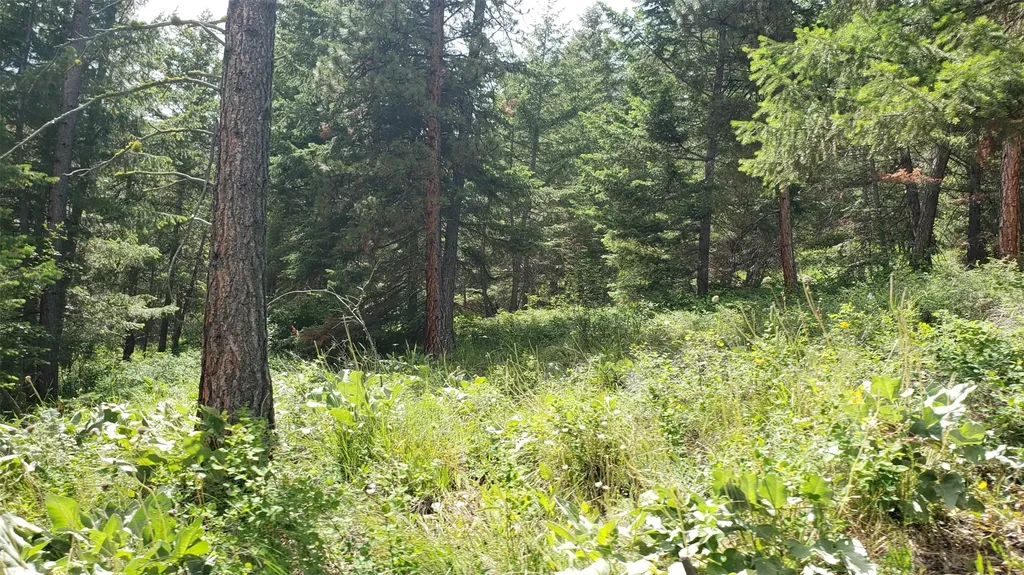 Lot 21 Arlee Pines Arlee MT 59821
