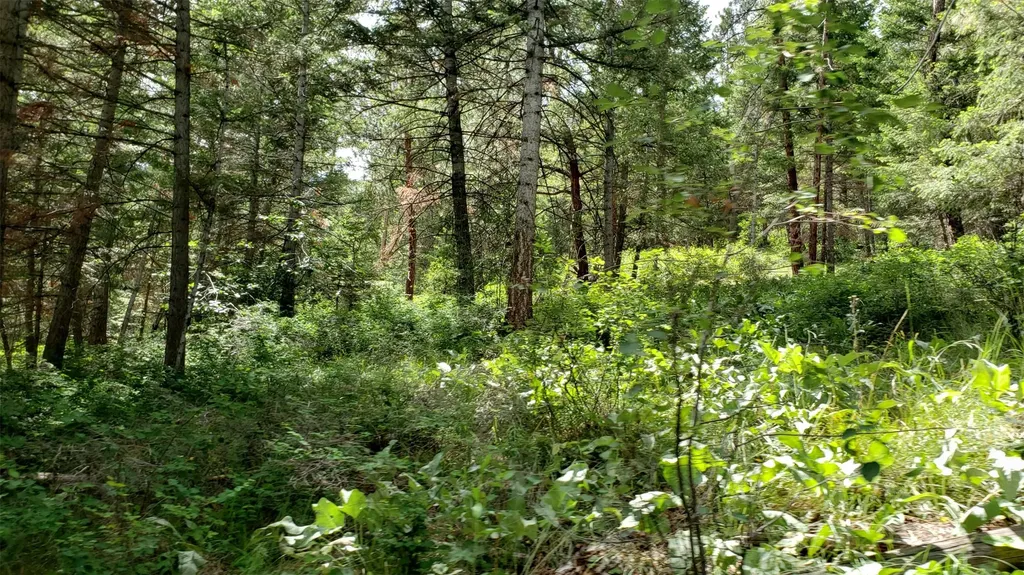 Lot 21 Arlee Pines Arlee MT 59821