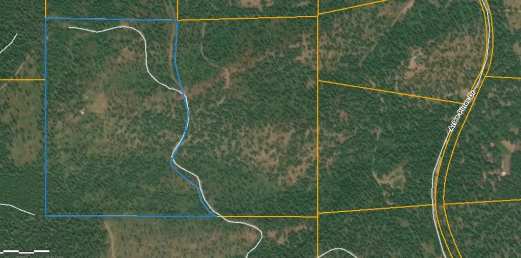 Lot 21 Arlee Pines Arlee MT 59821