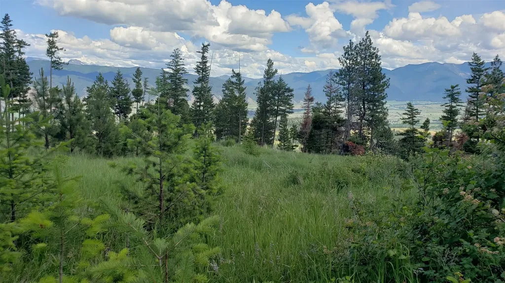 Lot 21 Arlee Pines Arlee MT 59821