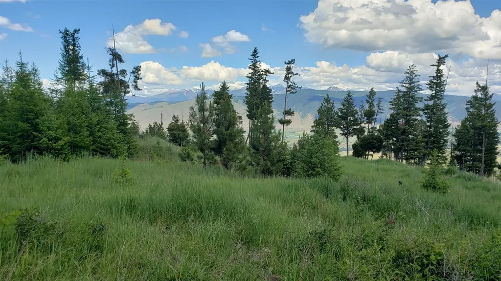 Lot 21 Arlee Pines Arlee MT 59821