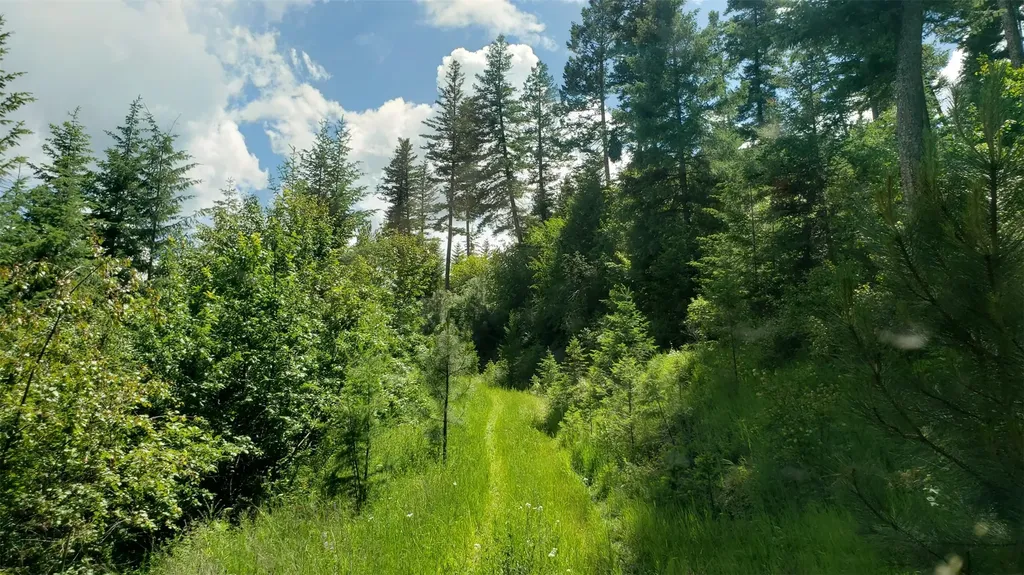 Lot 21 Arlee Pines Arlee MT 59821