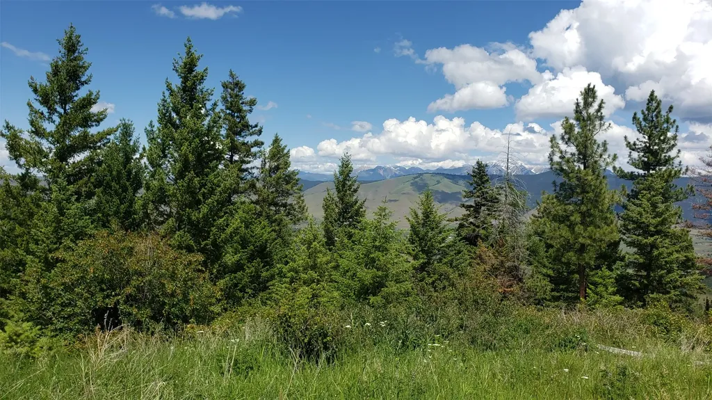 Lot 21 Arlee Pines Arlee MT 59821