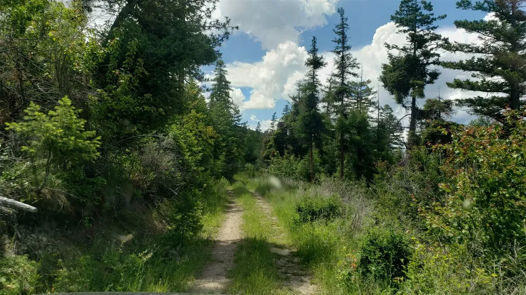 Lot 21 Arlee Pines Arlee MT 59821
