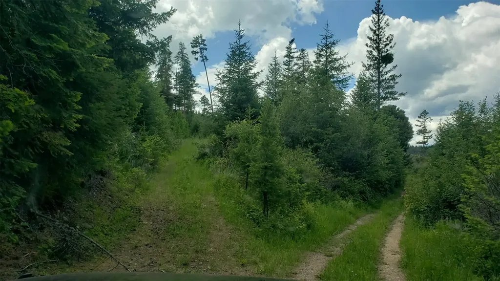 Lot 21 Arlee Pines Arlee MT 59821