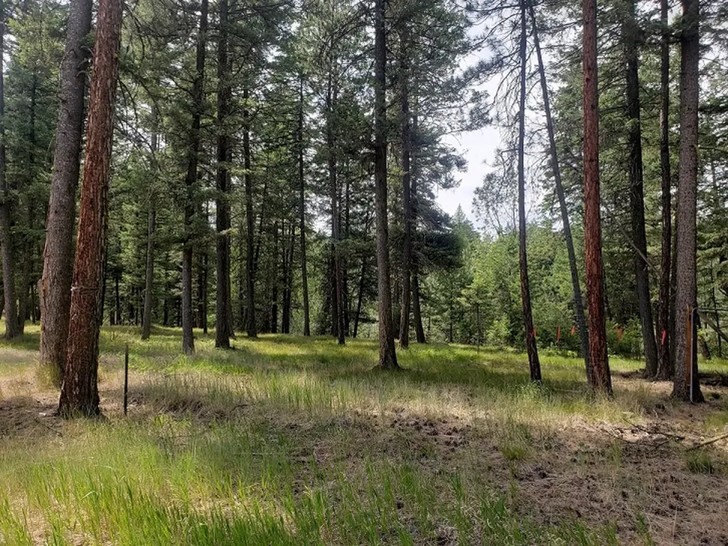 19425 Pond Road Frenchtown MT 59834