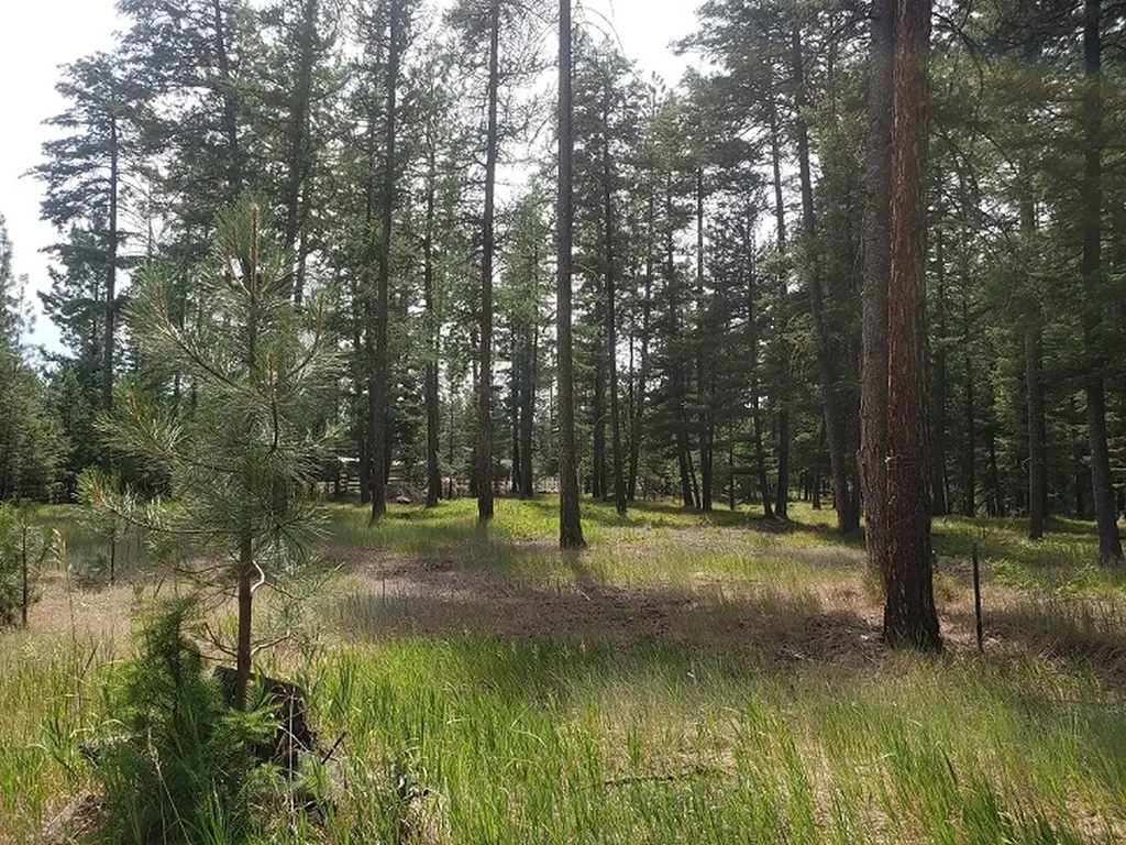 19425 Pond Road Frenchtown MT 59834