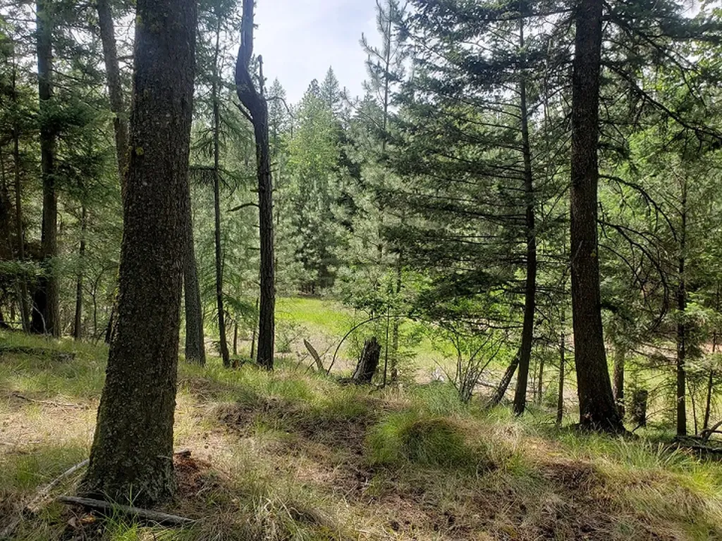 19425 Pond Road Frenchtown MT 59834