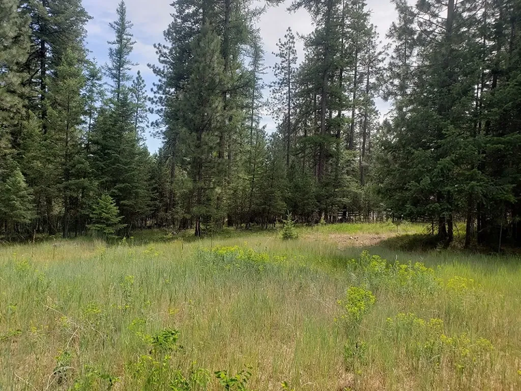 19425 Pond Road Frenchtown MT 59834
