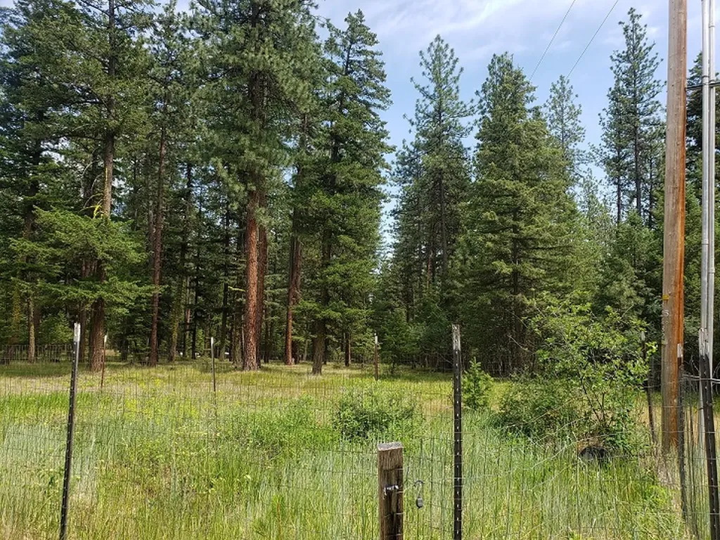 19425 Pond Road Frenchtown MT 59834