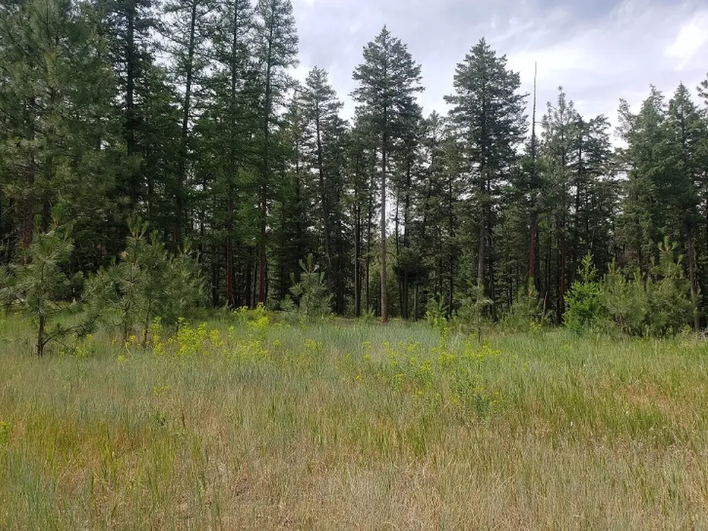 19425 Pond Road Frenchtown MT 59834