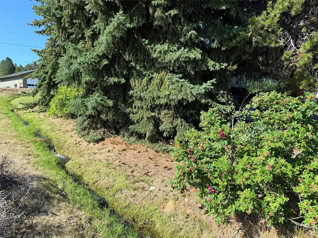 825 Grantsdale Road Hamilton MT 59840