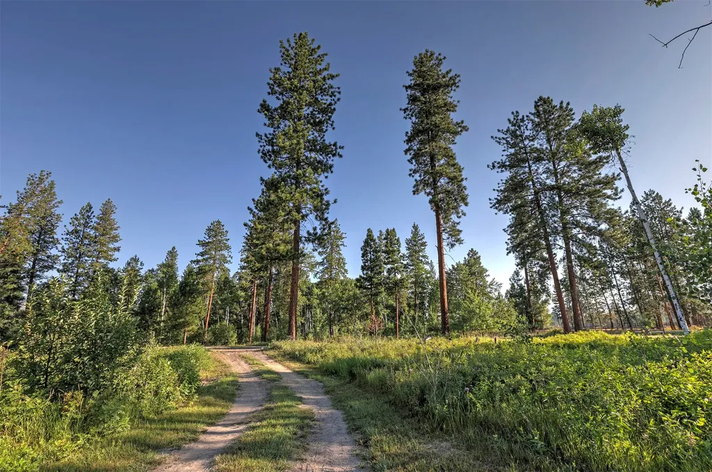 4354 Carolin Lane Florence MT 59833