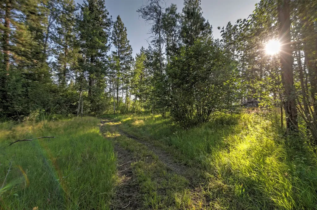 4354 Carolin Lane Florence MT 59833