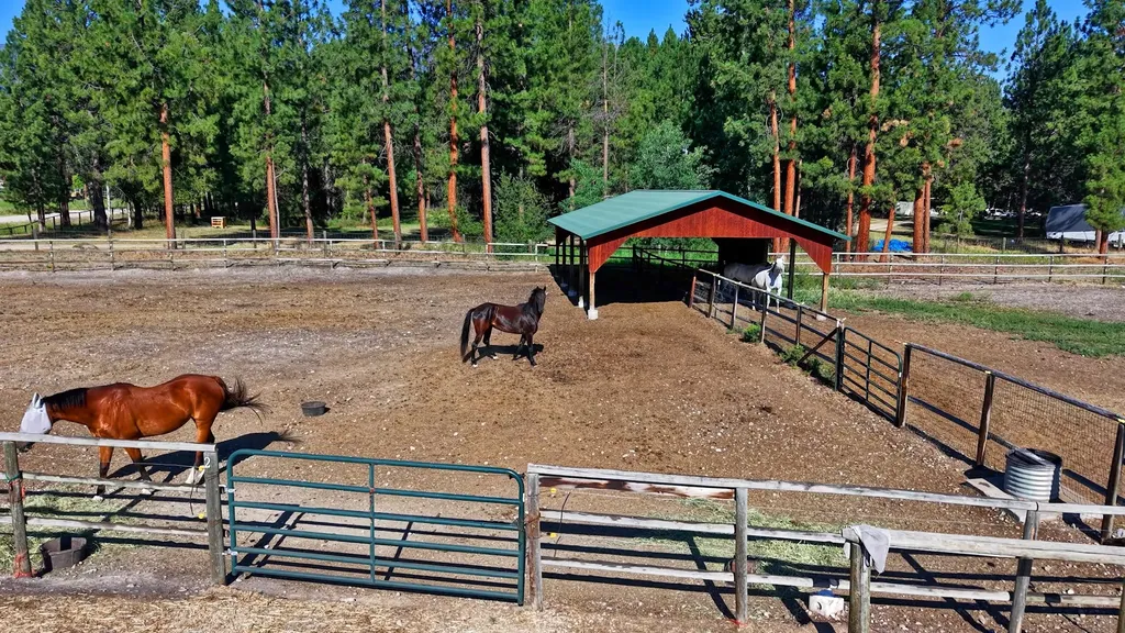 4354 Carolin Lane Florence MT 59833