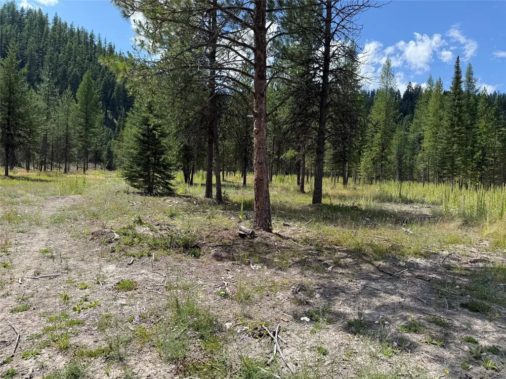 Tbd Lot12 Schrieber Lake Subdivision Libby MT 59923