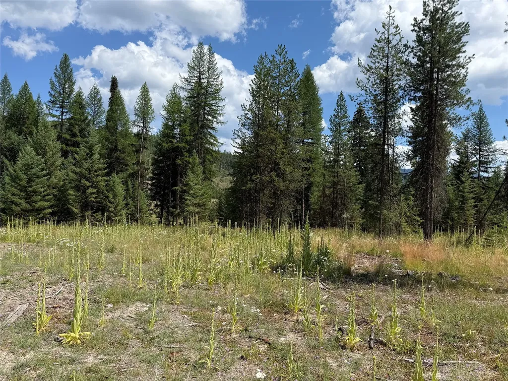 Tbd Lot12 Schrieber Lake Subdivision Libby MT 59923