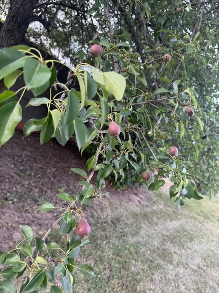 130 E Reserve Drive Kalispell MT 59901