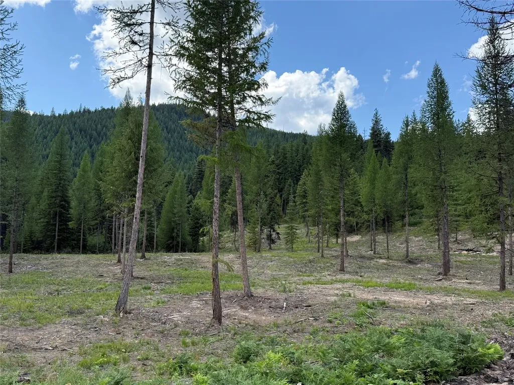 Tbd Lot 10 North Schreiber Lake Subdivision Libby MT 59923