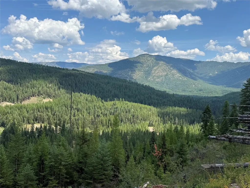 Tbd Lot 10 North Schreiber Lake Subdivision Libby MT 59923