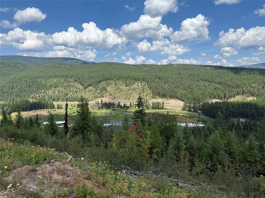 Tbd Lot 10 North Schreiber Lake Subdivision Libby MT 59923