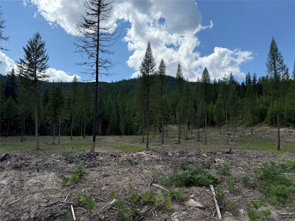 Tbd Lot 10 North Schreiber Lake Subdivision Libby MT 59923