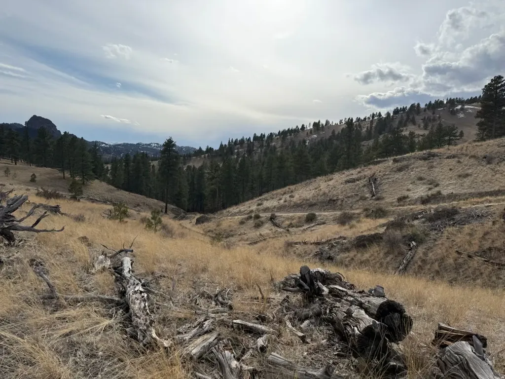 Nhn Big Pine Lane Cascade MT 59421