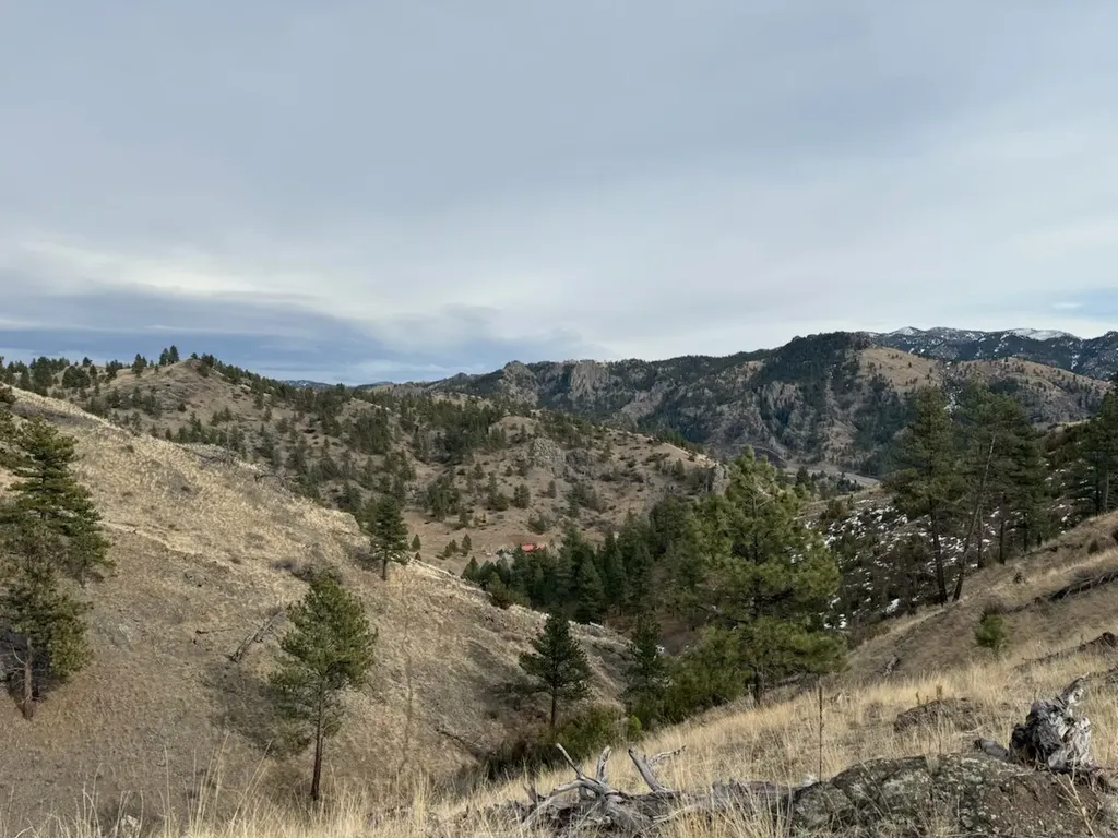 Nhn Big Pine Lane Cascade MT 59421