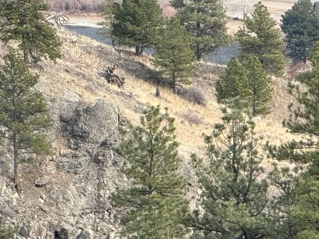 Nhn Big Pine Lane Cascade MT 59421