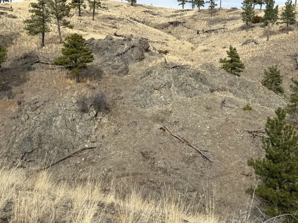 Nhn Big Pine Lane Cascade MT 59421