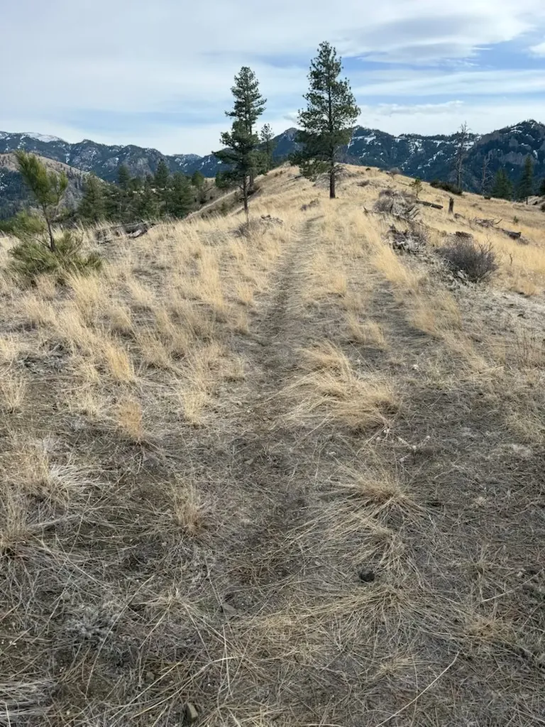 Nhn Big Pine Lane Cascade MT 59421