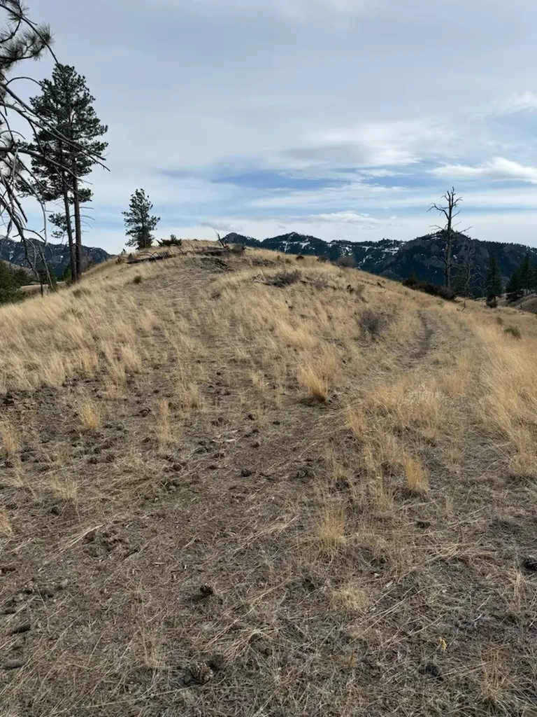 Nhn Big Pine Lane Cascade MT 59421