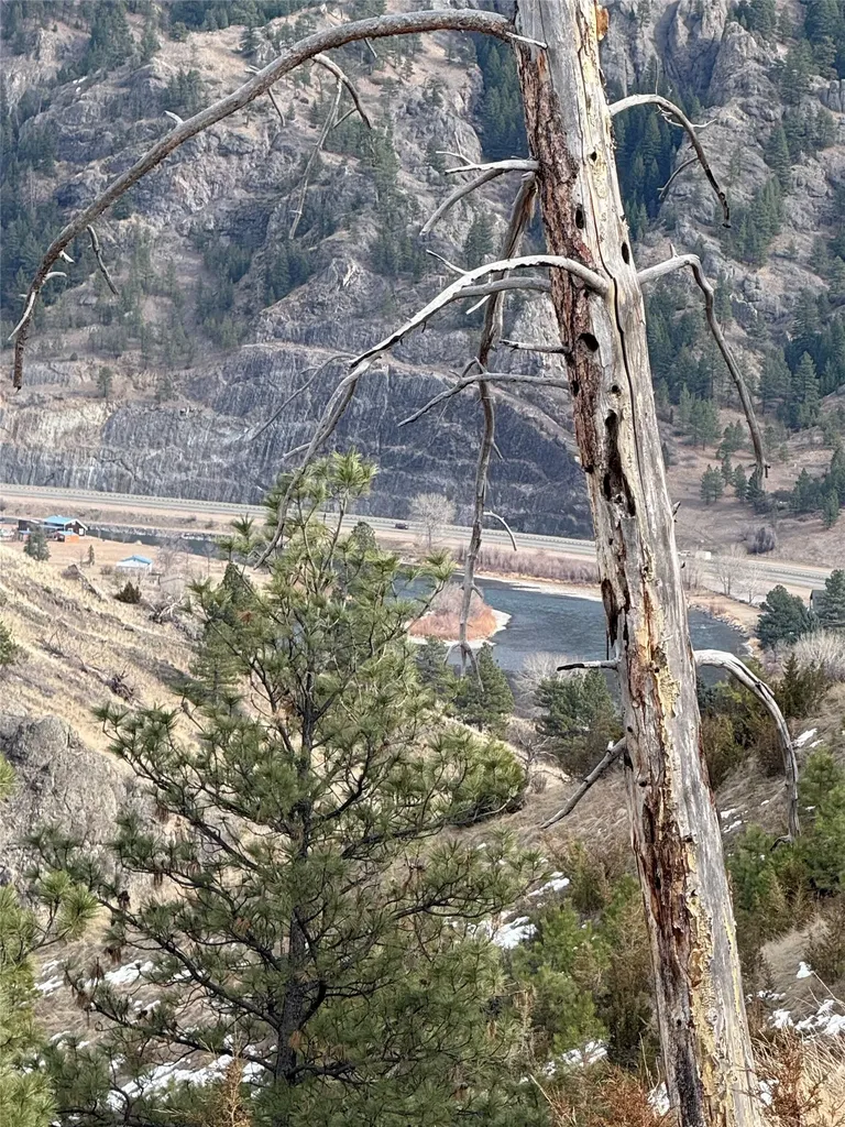 Nhn Big Pine Lane Cascade MT 59421