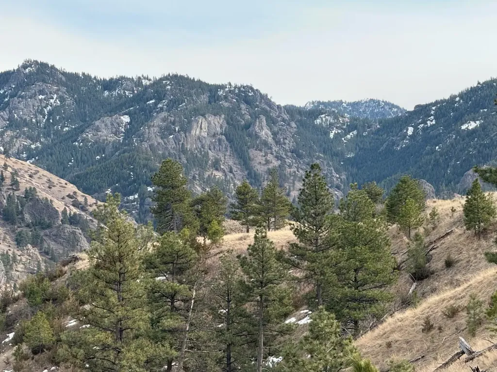 Nhn Big Pine Lane Cascade MT 59421