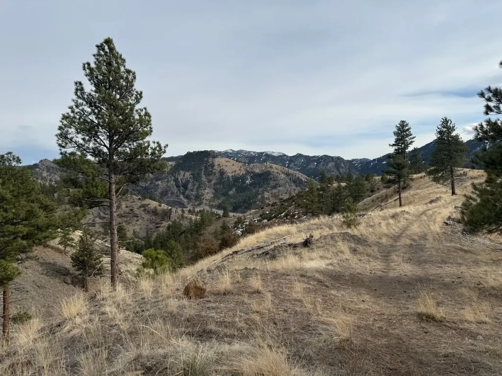 Nhn Big Pine Lane Cascade MT 59421