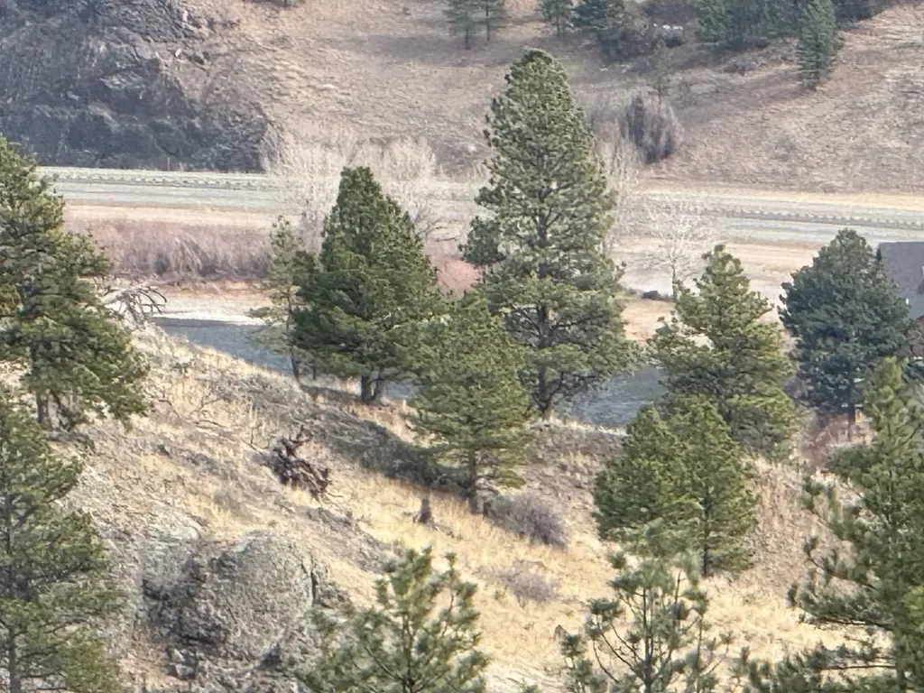 Nhn Big Pine Lane Cascade MT 59421