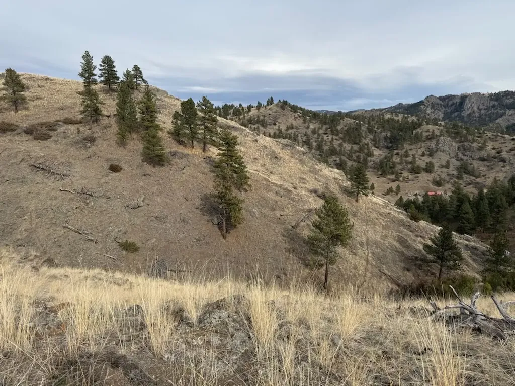 Nhn Big Pine Lane Cascade MT 59421